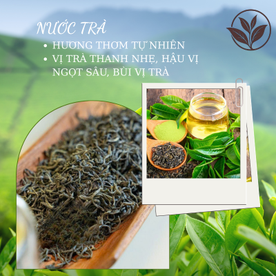 trà thái nguyên thượng hạng