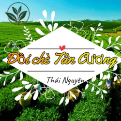 Đồi chè Tân Cương