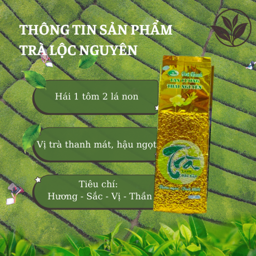 Về chúng tôi