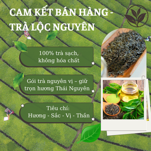 Cam kết bán hàng