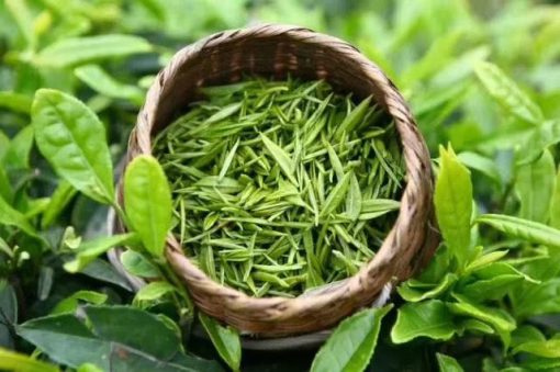 trà thái nguyên ngon
