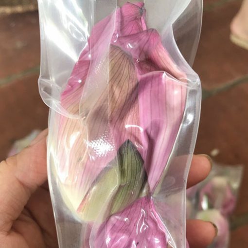trà hoa sen