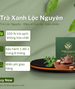 Bạch Trà Shan Tuyết
