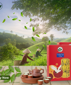 Trà Shan Tuyết Cổ Thụ Tà Xùa Hộp 200gr / 20 Tép Nhỏ (Lục trà 1 tôm 2 lá)