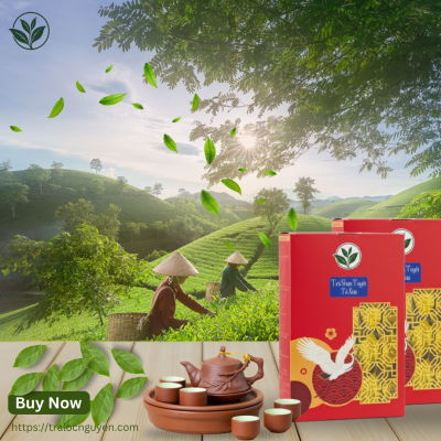 Trà Shan Tuyết Cổ Thụ Tà Xùa Hộp 200gr / 20 Tép Nhỏ (Lục trà 1 tôm 2 lá)