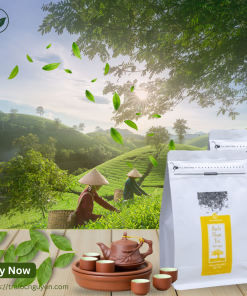 Bạch Shan Trà Suối Giàng 100g (Bạch trà 1 tôm 1 lá)