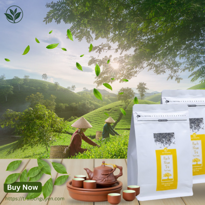 Bạch Shan Trà Suối Giàng 100g (Bạch trà 1 tôm 1 lá)