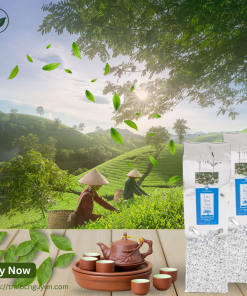 Lục Shan Trà Hà Giang 250gr (Lục trà 1 tôm 2 lá)