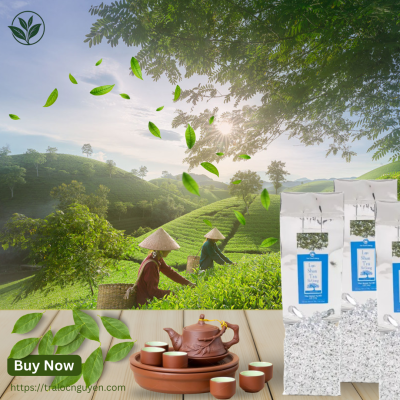 Lục Shan Trà Hà Giang 250gr (Lục trà 1 tôm 2 lá)