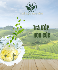 Trà Ướp Hoa Cúc