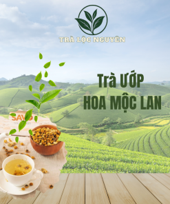 Trà Ướp Hoa Mộc Lan