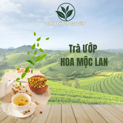 Trà Ướp Hoa Mộc Lan