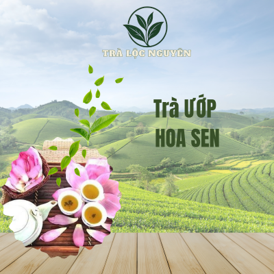 Trà Ướp Hoa Sen